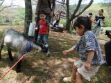 若旦那の日記８９（ファミリーにお勧め♪熱海姫の沢公園）