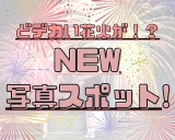 【花火と写真が撮れる！？】NEW写真スポットが誕生☆彡