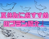 【もうすぐ夏休み☆】夏のオススメプラン＆夏休み空室情報☆